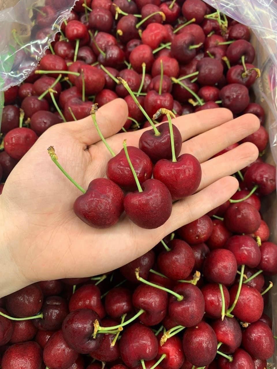 CHERRY - HỘP 500G 